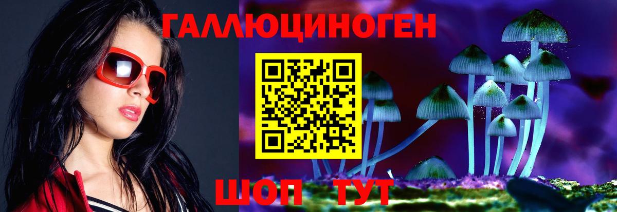Псилоцибиновые грибы Psilocybine cubensis Кумертау